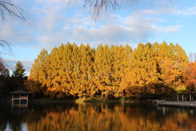 中央公園写真講座（博物館友の会共催）