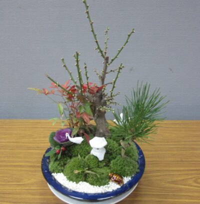 松竹梅の寄せ植え
