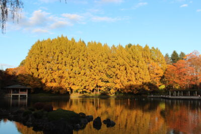 中央公園　植物・風景写真展