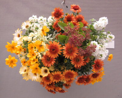 春のガーデニング展