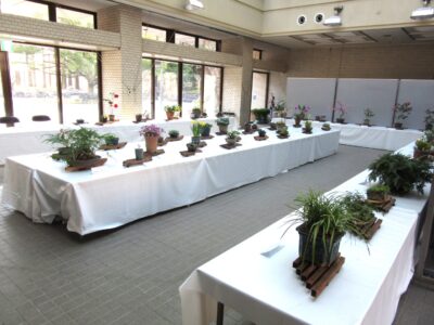 友の会 早春の展示・即売会