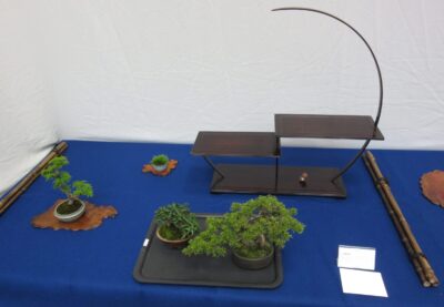 栃木県小品盆栽展