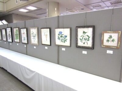 植物画展