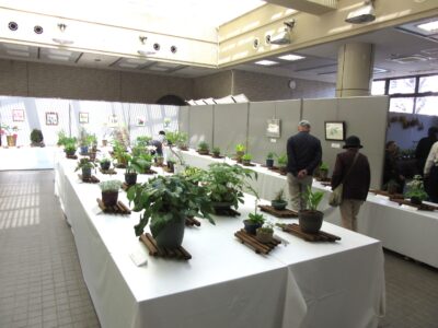 友の会 春の展示・即売会