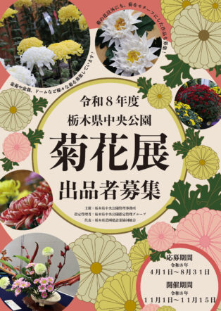 令和８年度 菊花展 出品者募集のお知らせ