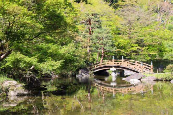 日本庭園むつび池の清掃を行います。