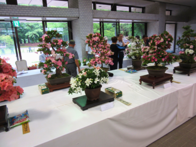 花季サツキ展