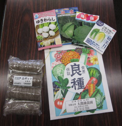 秋野菜を育てよう