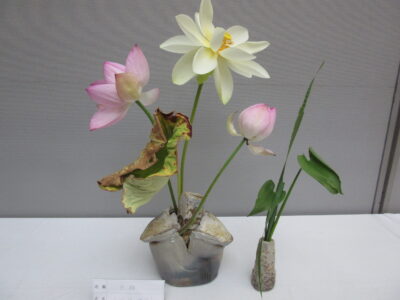 蓮の生け花展