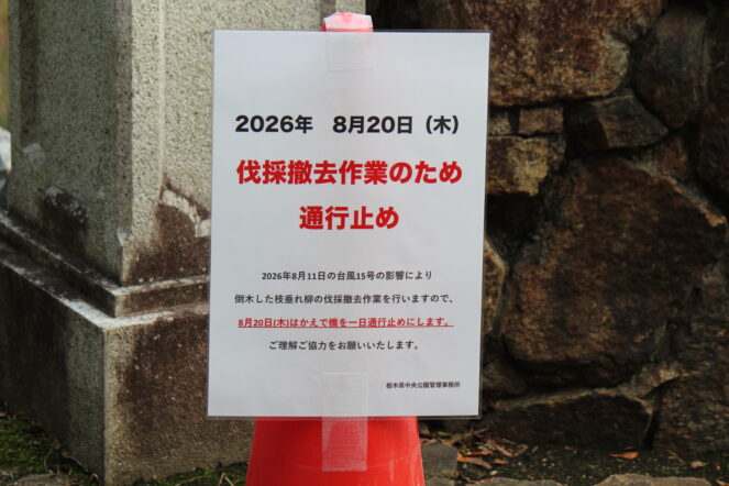 【通行止めのお知らせ】倒木の伐採撤去作業のため「かえで橋」が通行止めになります