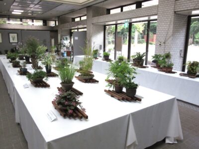 友の会　秋の展示・即売会