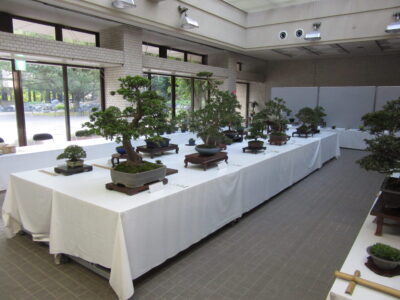 サツキ盆栽展