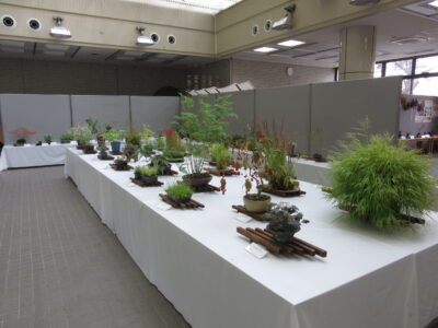秋の山野草展