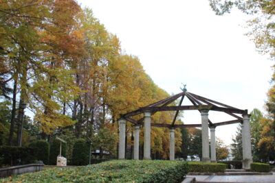 秋の中央公園 菊・紅葉写真講座(博物館友の会共催)