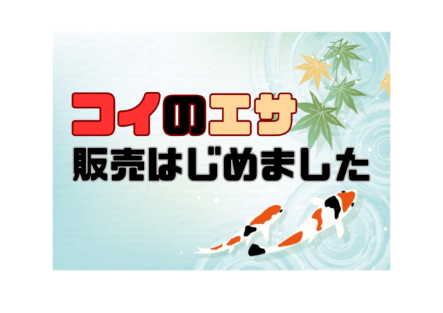 コイのエサの販売をはじめました